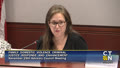 Click to Launch Family Domestic Violence Criminal Justice Response and Enhancement Advisory Council November 29th Meeting